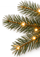 Warm-lit evergreen branches decorating the upper-right corner.